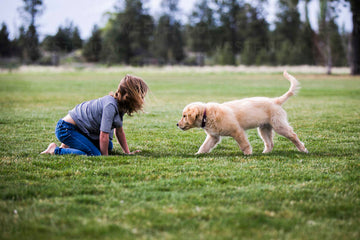 Top 6 Must-Have Pet Products for First-Time Pet Parents