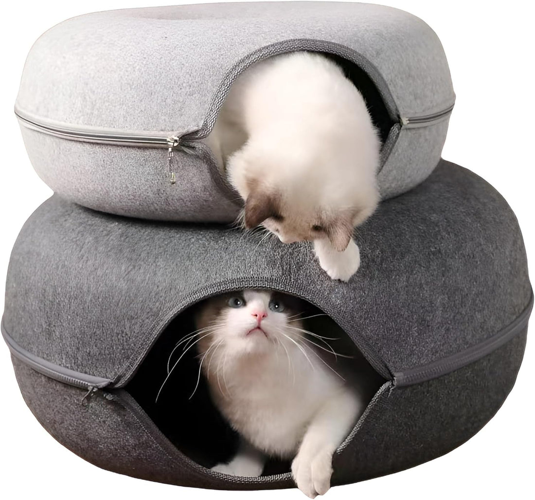 Donut-Shaped Cat Tunnel