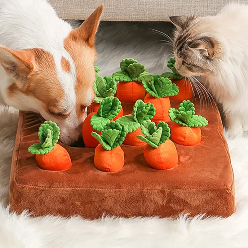 Carrot Plush Pet Chew Toy