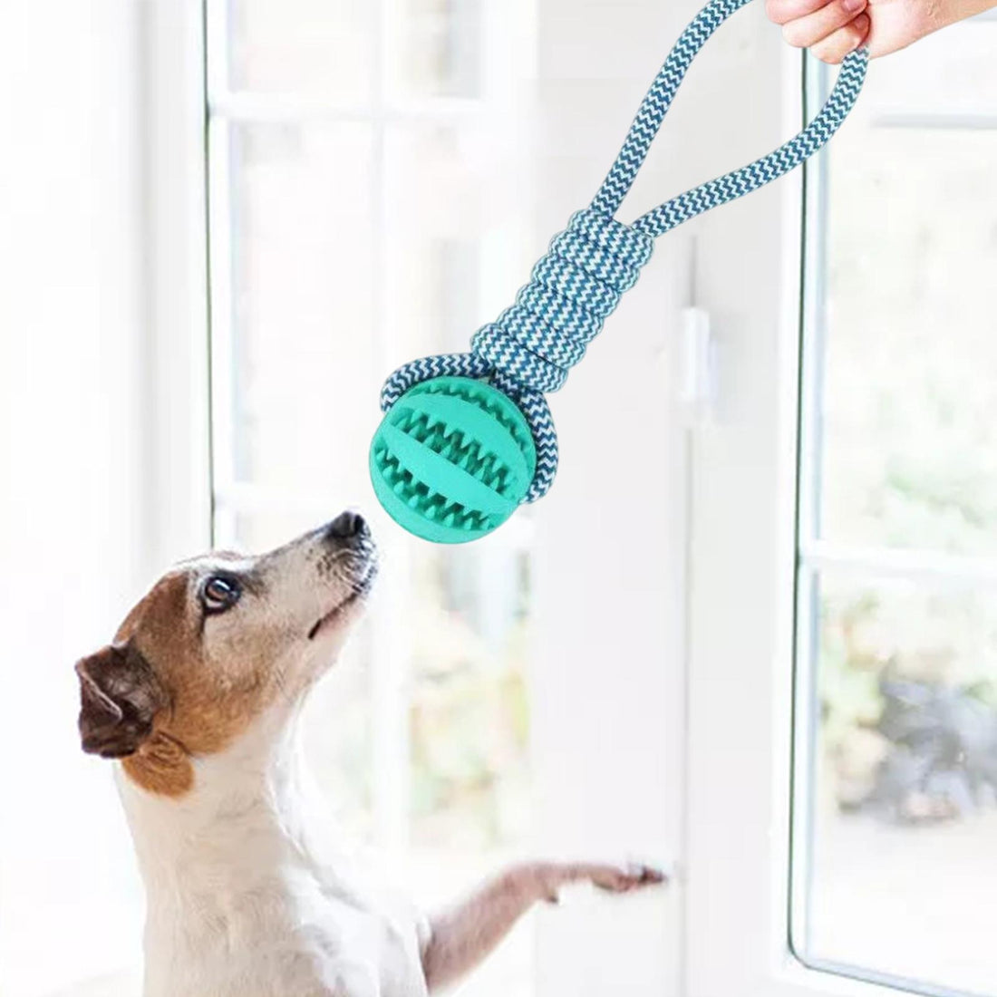 Bite-Resistant Pet Rope Toy