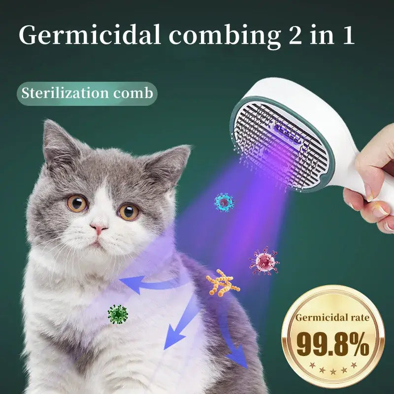 Germicidal Hair Removal Brush