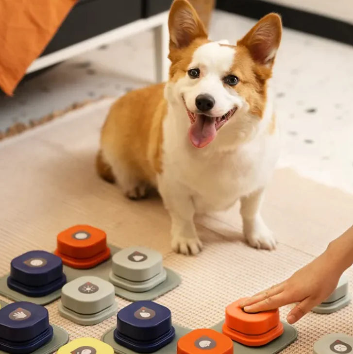 Pet Communication Button